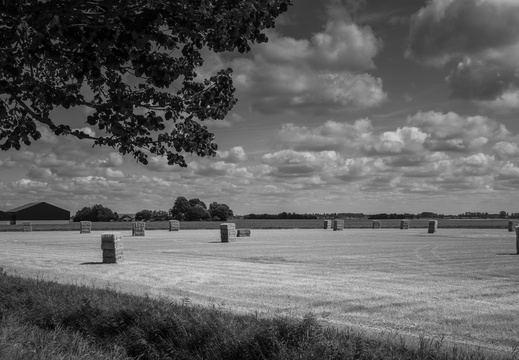 20180805-Friesland-115