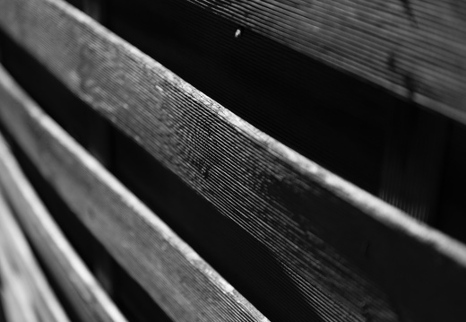 20180811-Nikon-D800-Lotte-Loenen-102