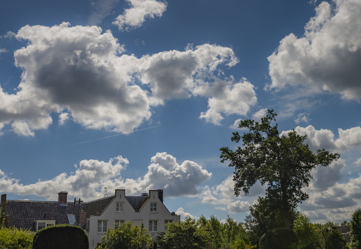 20180811-Nikon-D800-Lotte-Loenen-116
