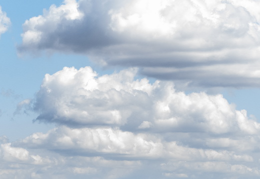 20180811-Nikon-D800-Lotte-Loenen-117