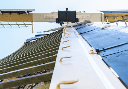 20180811-Nikon-D800-Lotte-Loenen-124