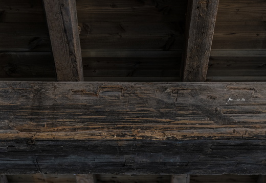 20180811-Nikon-D800-Lotte-Loenen-125