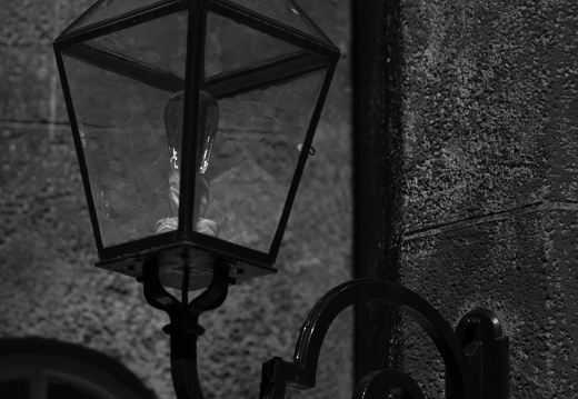 20180811-Nikon-D800-Lotte-Loenen-135