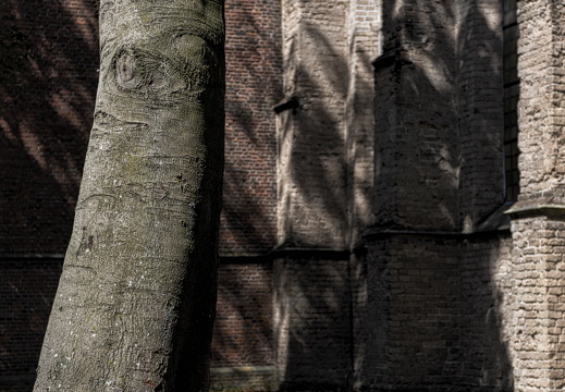 20180811-Nikon-D800-Lotte-Loenen-138