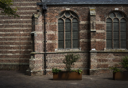 20180811-Nikon-D800-Lotte-Loenen-142