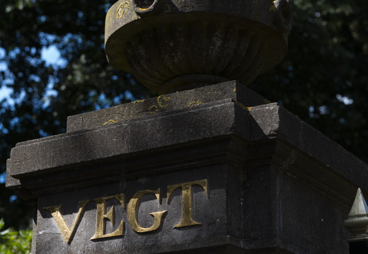 20180811-Nikon-D800-Lotte-Loenen-143