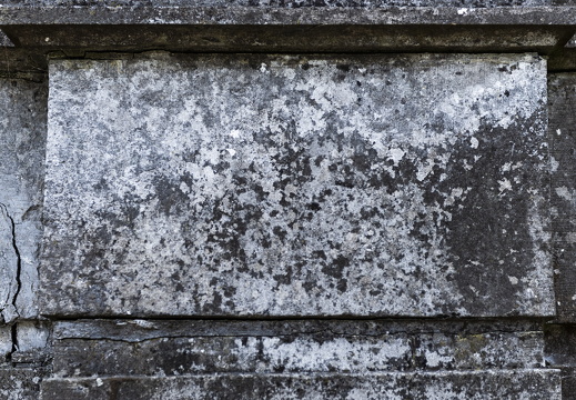 20180811-Nikon-D800-Lotte-Loenen-144