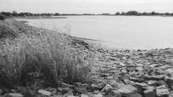 20180812-Olympus-OM2n-FP4-Waal121