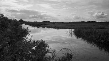 20180831-Leica-M4-21mm-Delta100-RondeVenen--102