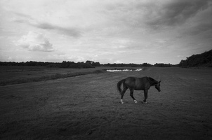 20180831-Leica-M4-21mm-Delta100-RondeVenen--104