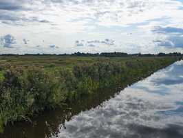 20180831-X100F-Trilvenen-104