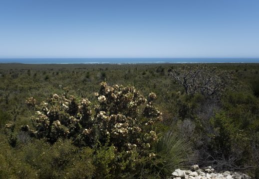 20181107-Geraldton-103