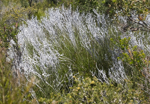 20181107-Geraldton-104