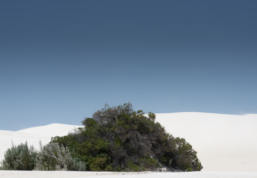 20181107-Geraldton-109