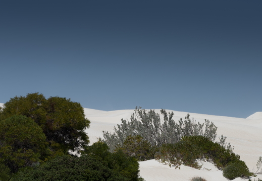 20181107-Geraldton-112