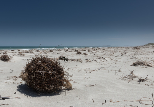 20181107-Geraldton-156
