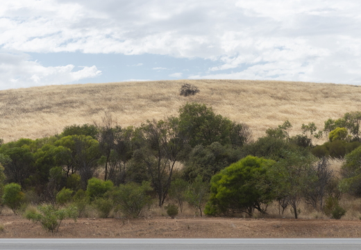 20181110-Geraldton-117