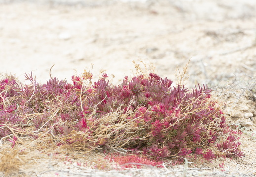 20181110-Geraldton-141