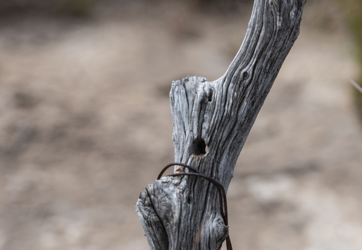 20181110-Geraldton-145