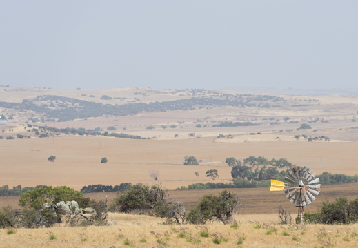 20181110-Geraldton-155