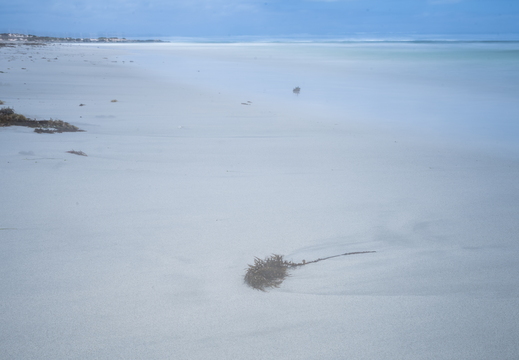 20181111-Geraldton-105