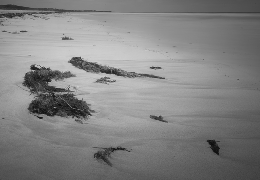 20181111-Geraldton-106