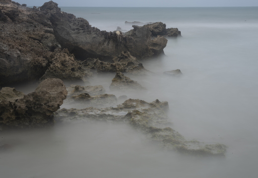 20181111-Geraldton-115