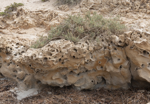 20181111-Geraldton-121