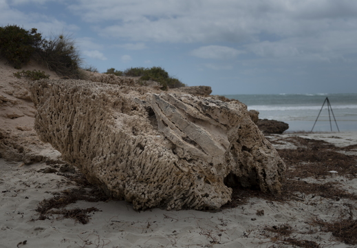 20181111-Geraldton-122