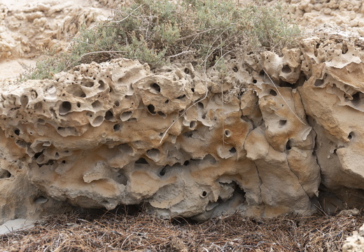 20181111-Geraldton-123