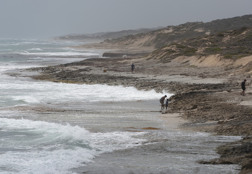 20181111-Geraldton-126