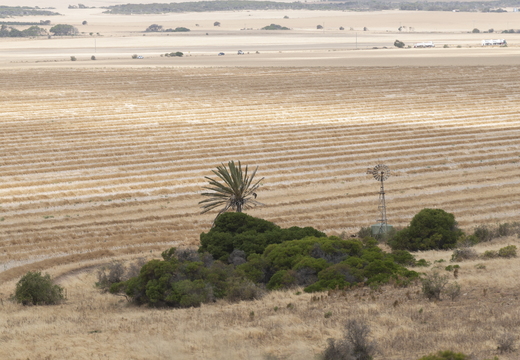 20181111-Geraldton-144