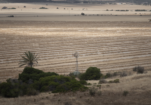 20181111-Geraldton-145