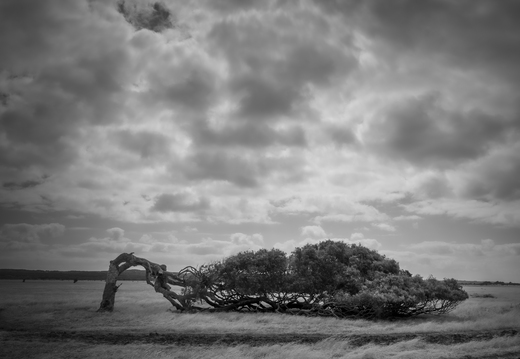 20181111-Geraldton-147