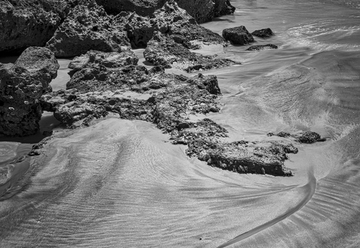 20181112-Strand-113