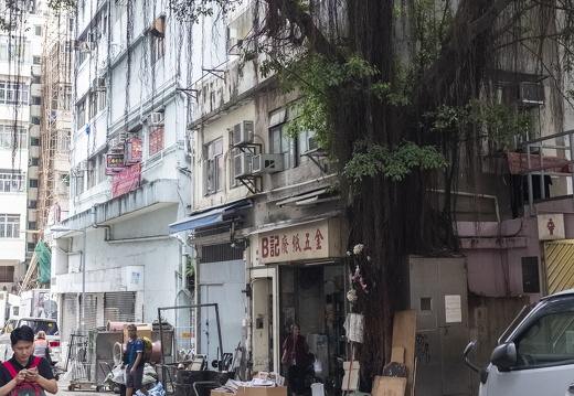 20181115-Hong-Kong-113