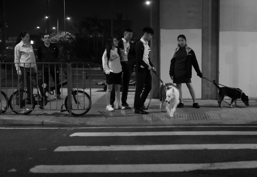 20181115-Hong-Kong-159