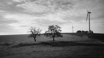 20191120-Hirzenhain-1010