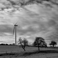 20191120-Hirzenhain-1013