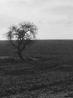 20191120-Hirzenhain-1014