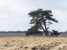 20190105-Posbank-100