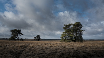 20190105-Posbank-104