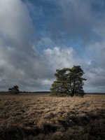 20190105-Posbank-105