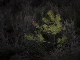 20190105-Posbank-122