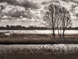 20190209-Lekdijk-201