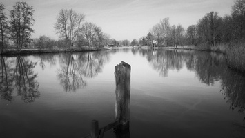 20190217-Vecht-Minolta-XD7-Delta100-101
