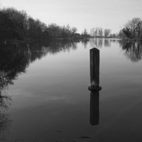 20190217-Vecht-Minolta-XD7-Delta100-103