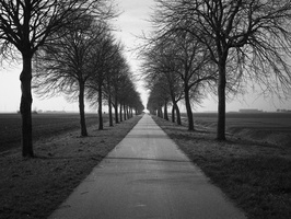20190217-Vecht-Minolta-XD7-Delta100-110