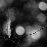20190224-Vecht-106