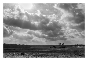 20190302-Kootwijkerzand-108